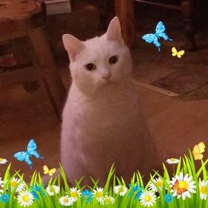 Meet your Posher, Louann